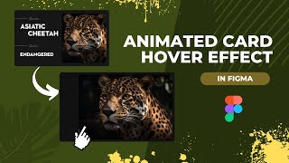 Animated card hover effect in figma For Beginners