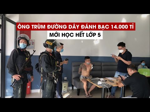 Video Ông trùm đường dây đánh bạc 14.000 tỉ mới học hết lớp 5 - YouTube