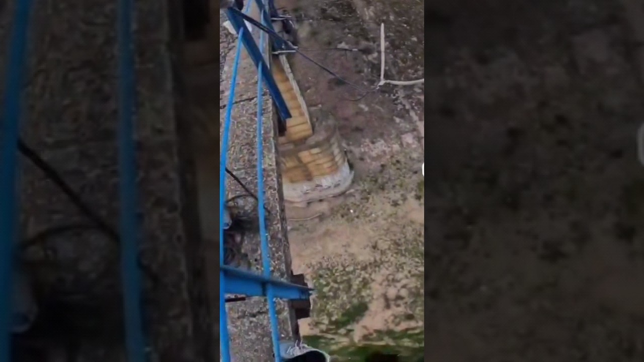 #прыжоксмоста