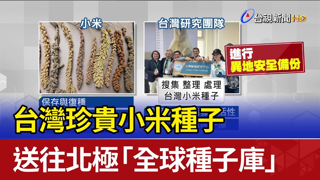 台灣珍貴小米種子 送往北極「全球種子庫」