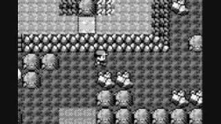 Heart Gold/Soul Silver Pokegod Special