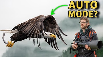 Why PROs Rely on Manual Mode with Auto ISO for Wildlife Photography