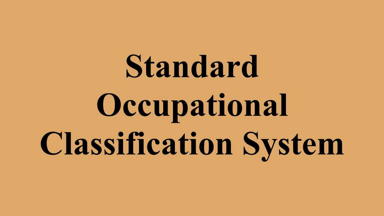 Standard Occupational Classification System