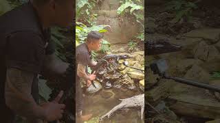 TERNYATA INI BUKAN BUAYA!!
