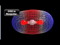 Molecular Polarity and Symmetry of CO2