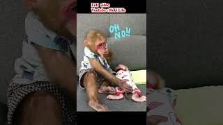 Monkey Mon Farts And Kobis Treatment 