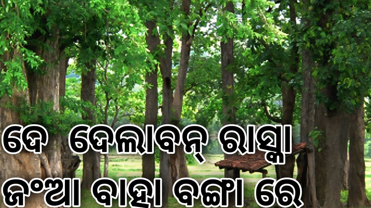 ତେହେଁଞ୍ଜ ଦ ଶ୍ୟାମରାଇ ପୁର ଜାହେର ଗାଳ ରେ ଛାମଡା ଦାଲବ || #youtube #subscribe #like #share #comment ?