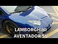 Lamborghini aventador sv startup