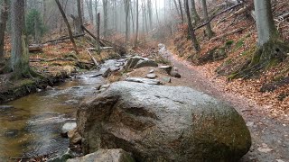 Von Ilsenburg zu den Ilsefällen im Harz