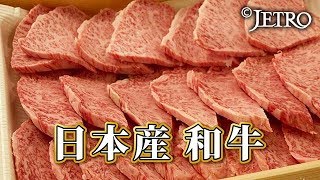 【JETRO】牛肉大国オーストラリアへ日本の和牛を売り込め！