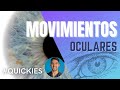 Nervio Óptico: Movimientos Oculares (III, IV, VI)