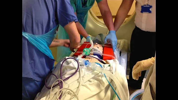 A year in the life 2014/15