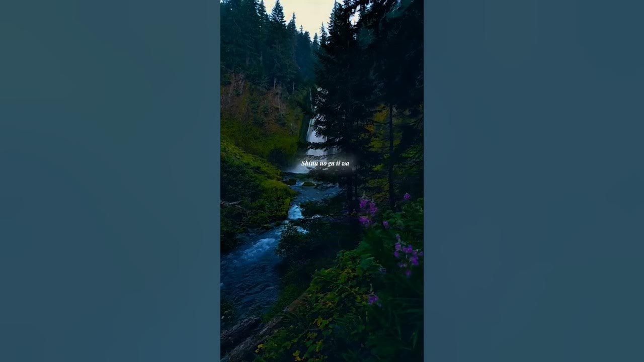 Shinunoga E-Wa - Fujii Kaze |lyrics |Slowed +Reverb |aesthetic |#trendingshorts #lyrics #music Shinunoga E-Wa - Fujii Kaze |lyrics |Slowed +Reverb |aesthetic |#trendingshorts #lyrics #music