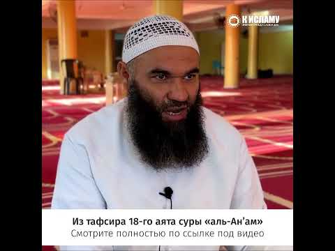 Относись бережливо к Корану #Shorts Ринат Абу Мухаммад
