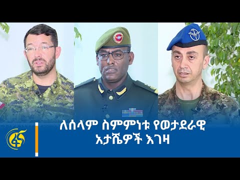 ቪዲዮ: እገዛ፣ ዛፎቼ ይበሰብሳሉ - በመልክዓ ምድቡ ላይ እንጨት እንዲበሰብስ የሚያደርገውን ይወቁ