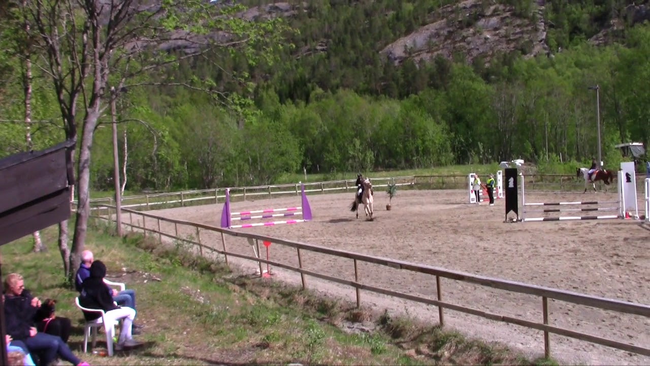 FJORDHEST: Sprangstevene Skjomen (70 cm) 2018 - YouTube