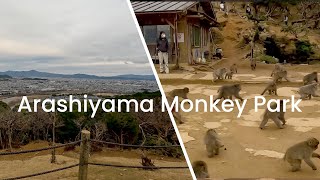 Walking Path l How to reach Monkey Park Iwatayama