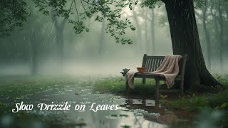 [51] Slow Drizzle on Leaves | Gentle Rainy Lo-fi for Focus, Relaxation & Deep Calm
