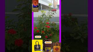 அடேங்கப்பா!🤔 1000, video வா?All types of basket making fancy basket Disney handles