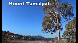 Bay Area Bike Ride (Sausalito to Mill Valley)