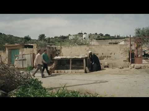 أبو الفراجين جبنه