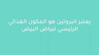 فوائد بياض البيض للبشرة والشعر