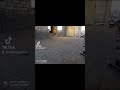 Тротуарная Плитка в Кропоткине. Кроп-Ремонт.