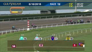 Gulfstream Park Race 12 | June 16, 2018
