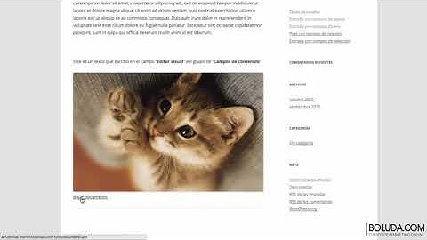 Curso de Custom Fields