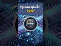 LVS là gì và vì sao DRC pass vẫn chưa đủ để tape-out?