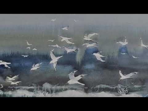 Gustavo Santaolalla ~ Pajaros