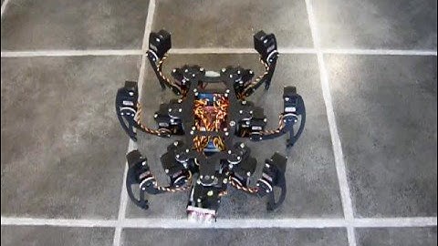 MSR-H01 Hexapod Black + PT Head - Test 01