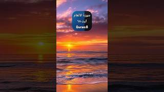 Surah Al-Anaam Verse 68 Quran Translation Quran6