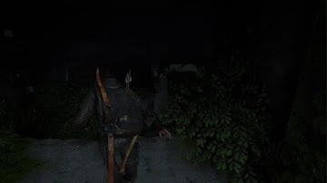 The Last of Us Part II - Jesse Stalkers Area CONSISTENT Strat - Kill All No Gun Grounded Permadeath