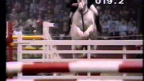 Caroline Bradley  - Tigre - GP Olympia London 1980