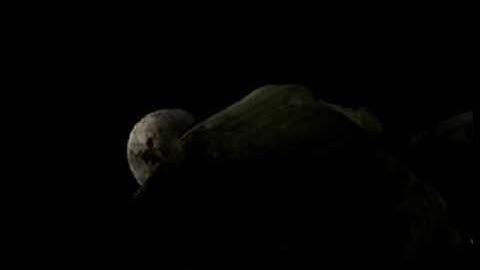 Resident Evil Remake on Dolphin GameCube and Wii Emulator Test