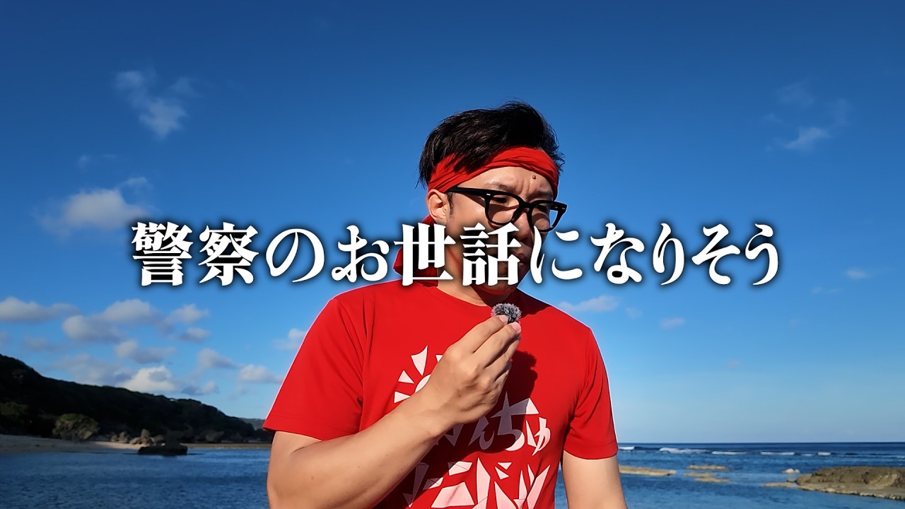What should I do? - YouTube