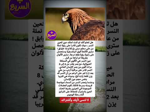 سبحان الخالق العظيم الذى خلق فابدع معلومات معلومه علي الماشي معلومات مفيدة معلومات عامة