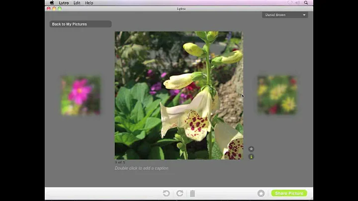 Focus Later with the Lytro Camera