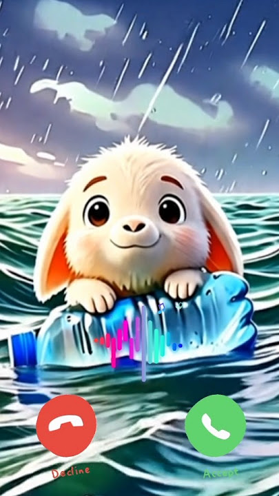 A little Rabbit rainstorm Ringtone 🔥🔥#shorts #ringtone #cat