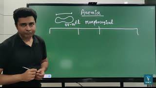 Anemia Definition and Morphological classification | What is Anemia