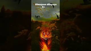 Şsun Ünyaya İsi̇