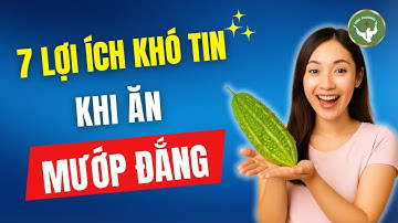 7 Lợi Ích Khó Tin Khi Ăn Mướp Đắng Thường Xuyên – Ai Cũng Nên Biết! | Đức Phương Sức Khỏe
