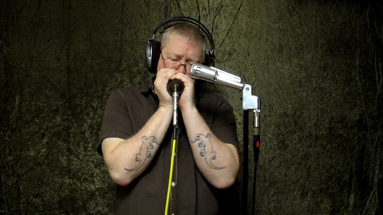 Shake Your Moneymaker - Blues Harmonica