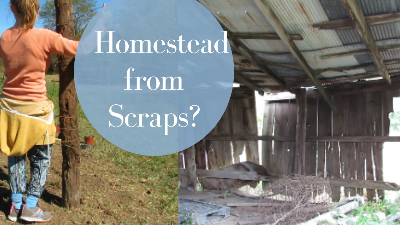 Making a Homestead from Scraps? Things didn't go as planned. - YouTube