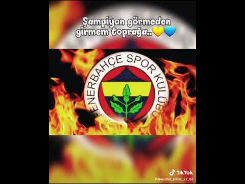 fenerbahçee