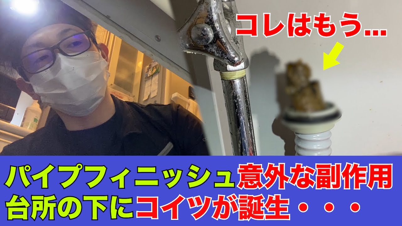 取扱説明書を読めば大丈夫！怖くないから！！！【花のお掃除 #42】