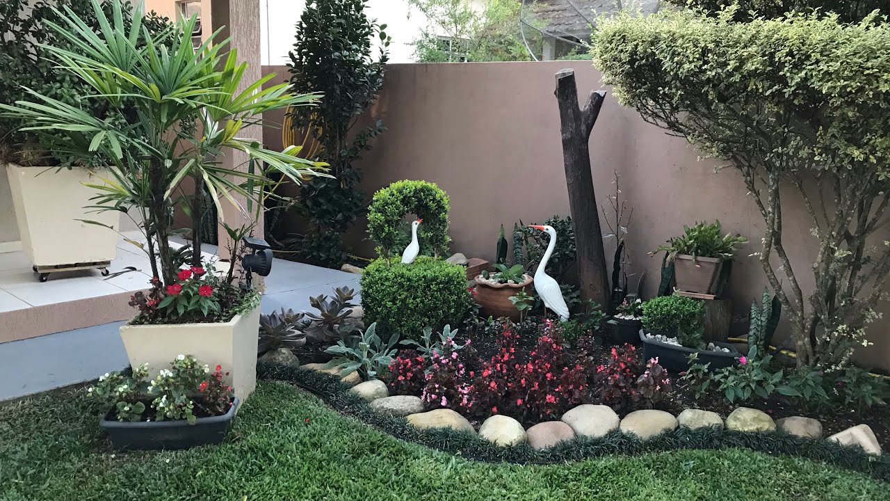 TOUR Pelo meu Jardim/Quintal