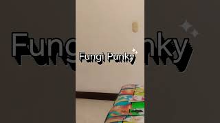 Jet Fuel - Mac Miller #macmiller #loop