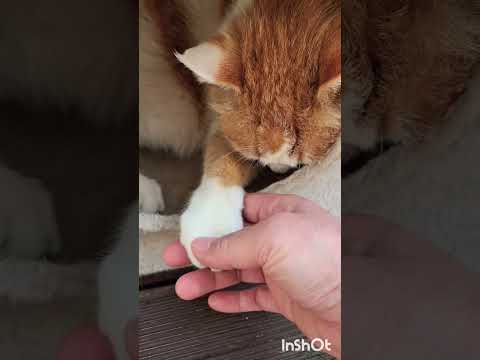 크게웃지마, 우리애기 깨잖아 🙄